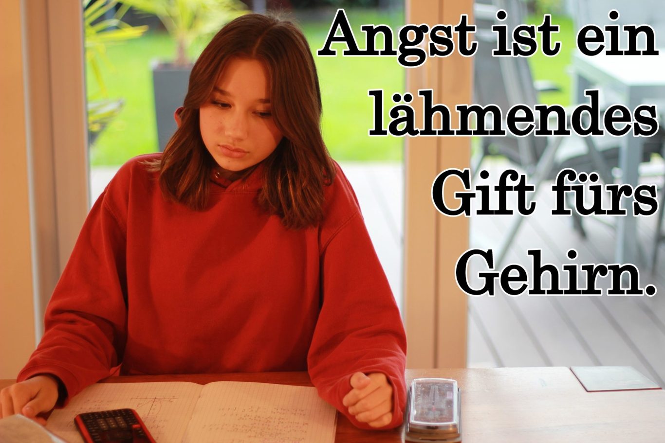 Volker Klugmann, Anna Giuliana, Mathematik Nachhilfeunterricht, Mathe Nachhilfe, Mathenachhilfe, Nachhilfelehrer, Privatunterricht, Angst ist ein lähmendes Gift für das Gehirn.