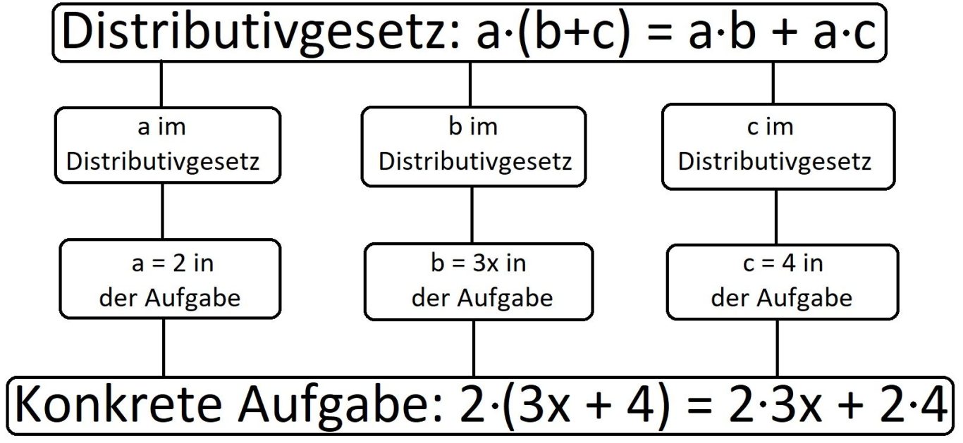 Mathematik erklären, kognitives Netz, Kognitionsknoten, Distributivgesetz, Klammern auflösen, Volker Klugmann, Mathematik Nachhilfeunterricht, Mathe Nachhilfe, Mathenachhilfe, Nachhilfelehrer, Privatunterricht, Beispiel eines kognitiven Netzes mit dem Distributivgesetz.